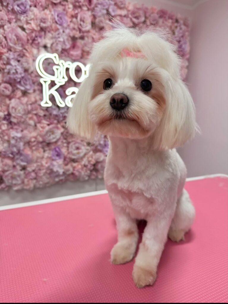 whatsapp image 2026 01 06 at 18.20.00 (3)