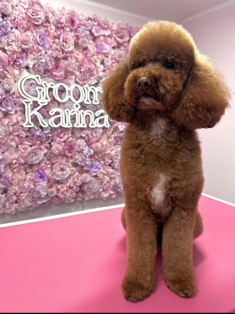 whatsapp image 2026 01 06 at 18.20.00 (5)