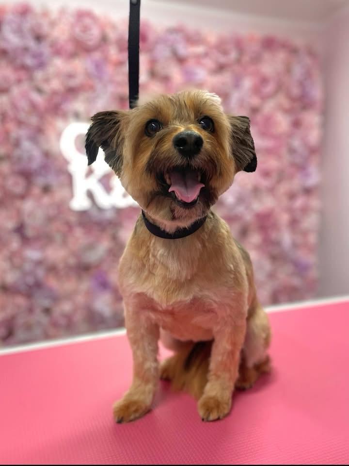 whatsapp image 2026 01 06 at 18.38.37 (1)