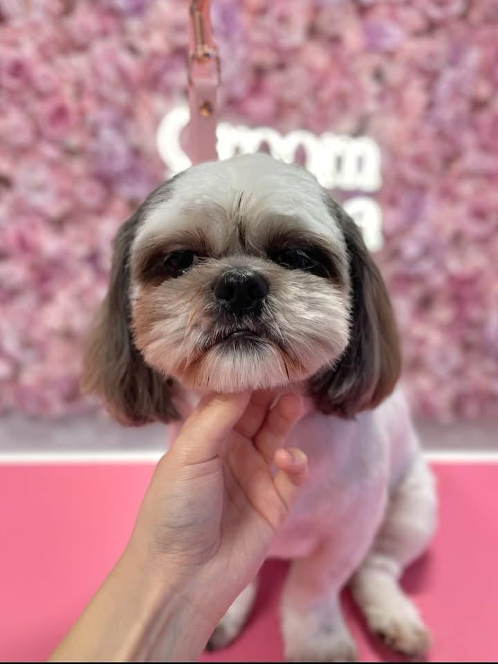 whatsapp image 2026 01 06 at 18.38.37 (3)