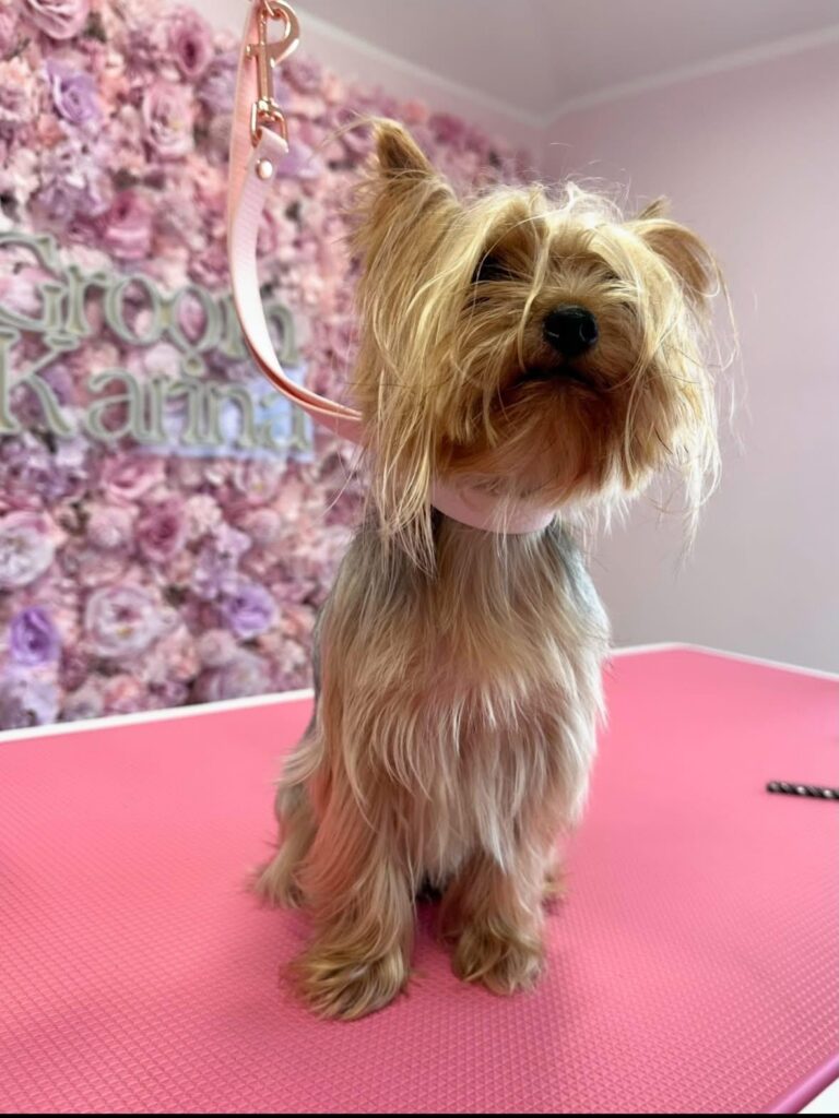 whatsapp image 2026 01 06 at 18.38.37 (4)