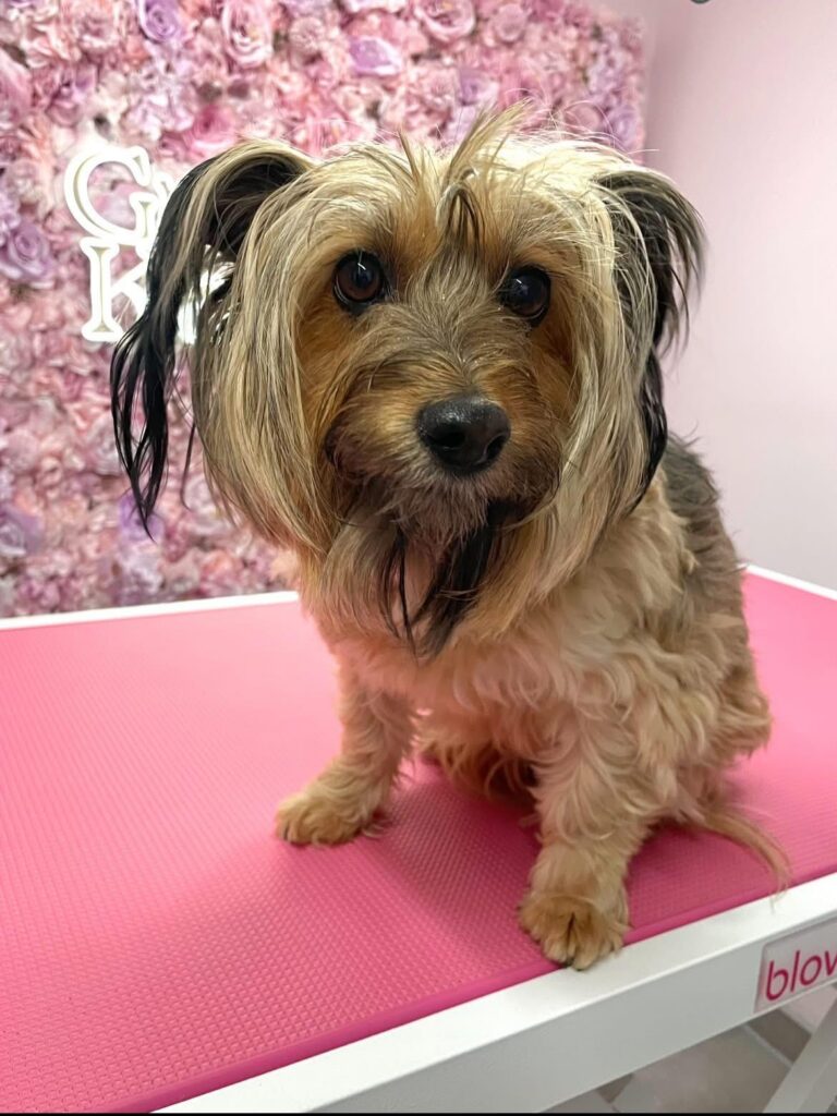 whatsapp image 2026 01 06 at 18.38.37