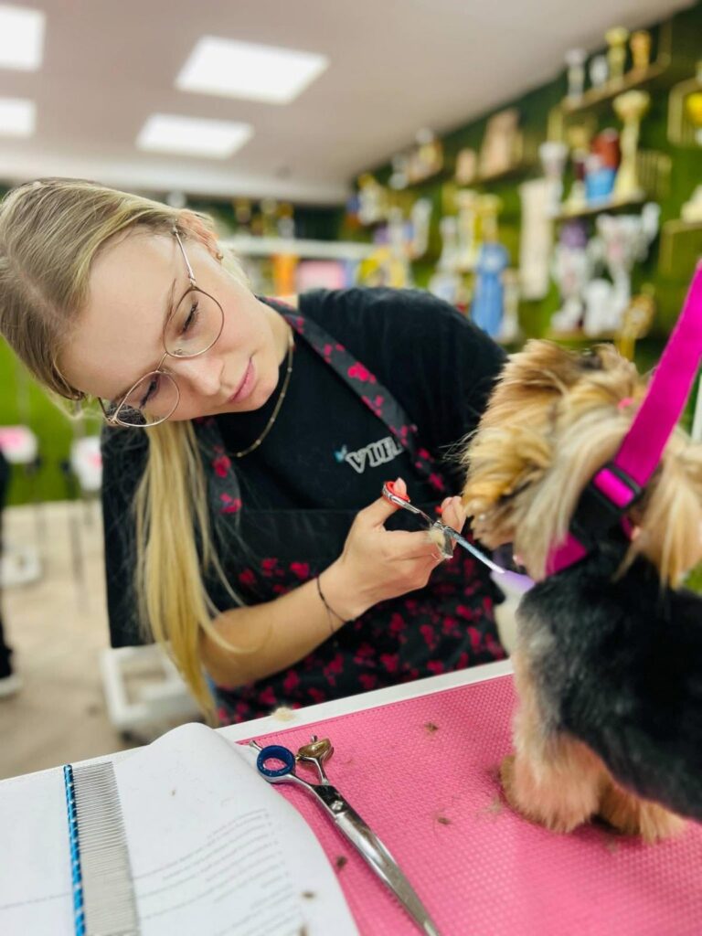 whatsapp image 2026 01 07 at 21.14.10